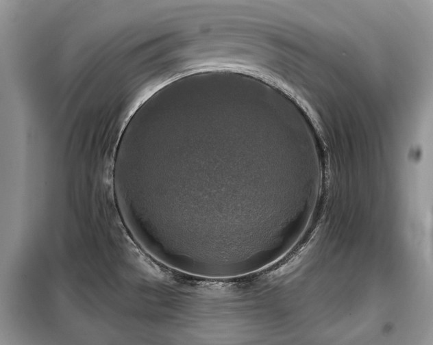 X0000099451529200805091455