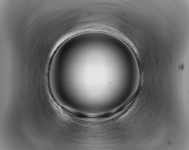 X0000099451530200805091455