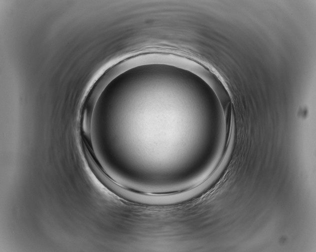 X0000099451531200805091455