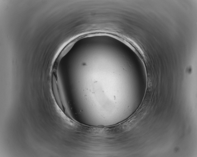 X0000099451532200805091455