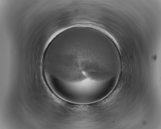 X0000099451533200805091455
