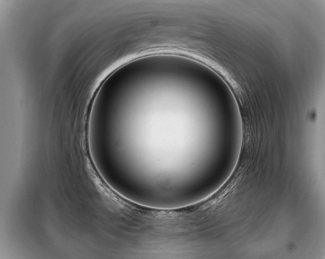 X0000099451534200805091455