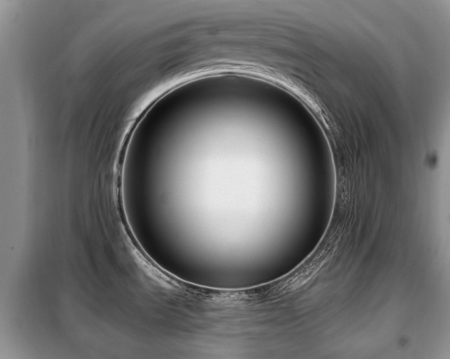 X0000099451535200805091455