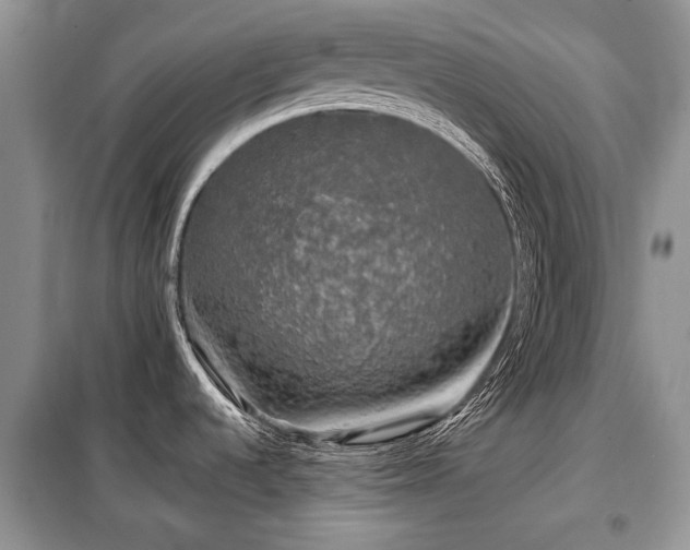 X0000099451536200805091455
