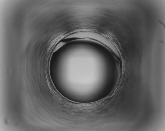 X0000099450001200805161033