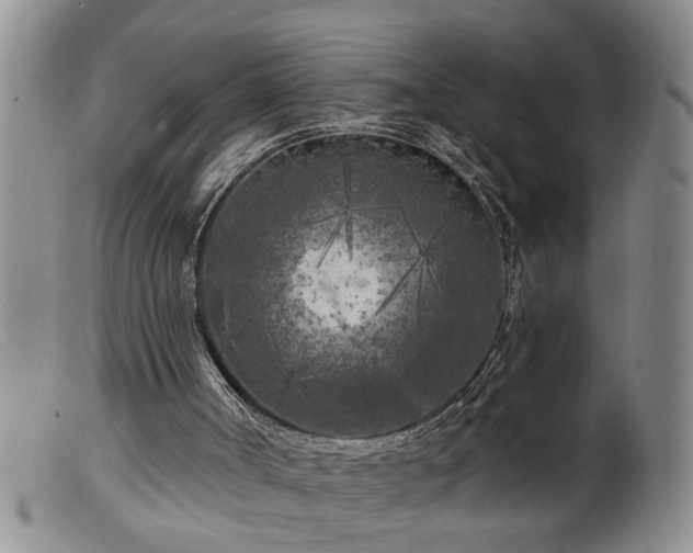X0000099450002200805161033