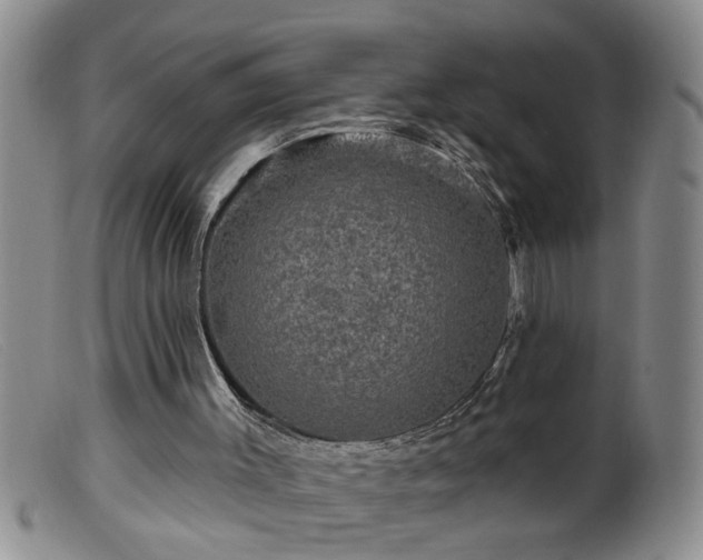 X0000099450003200805161033