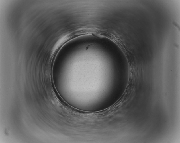 X0000099450004200805161033