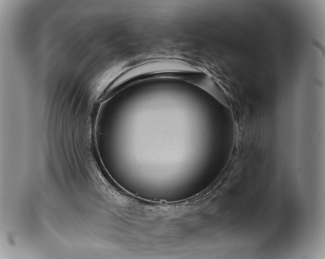 X0000099450005200805161033