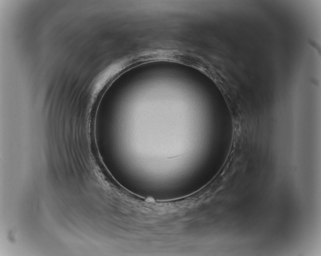 X0000099450006200805161033