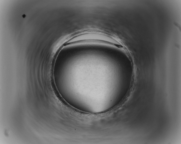 X0000099450007200805161033