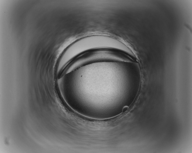 X0000099450008200805161033