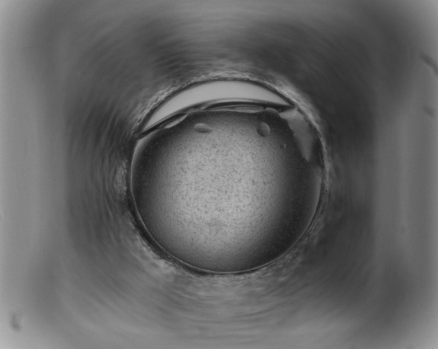 X0000099450009200805161033