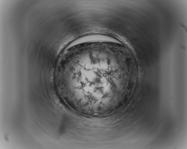 X0000099450010200805161033