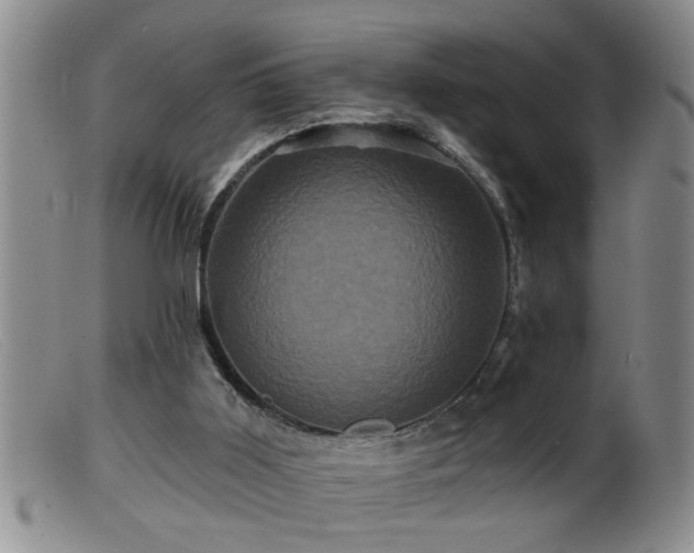 X0000099450011200805161033