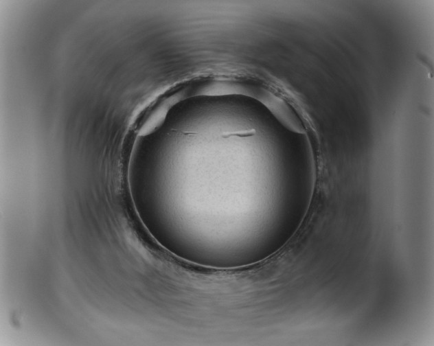 X0000099450012200805161033