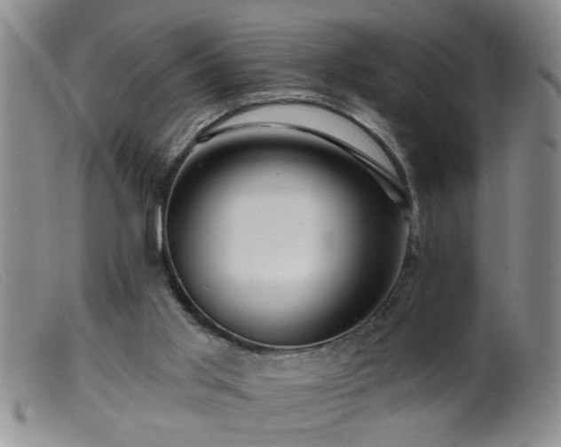 X0000099450013200805161033