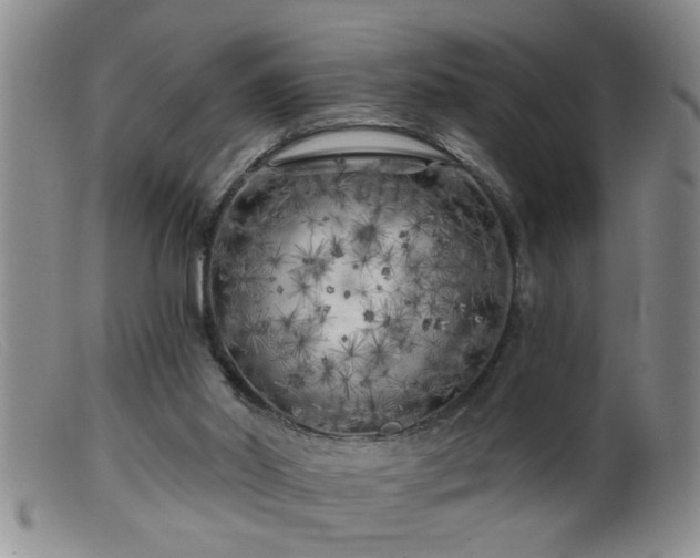 X0000099450014200805161033