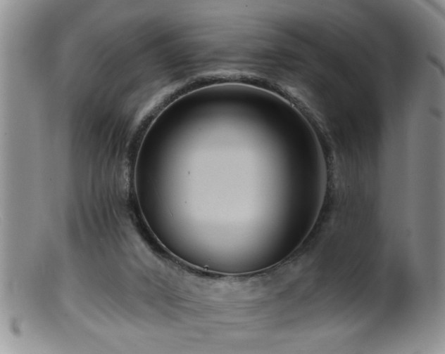 X0000099450016200805161033