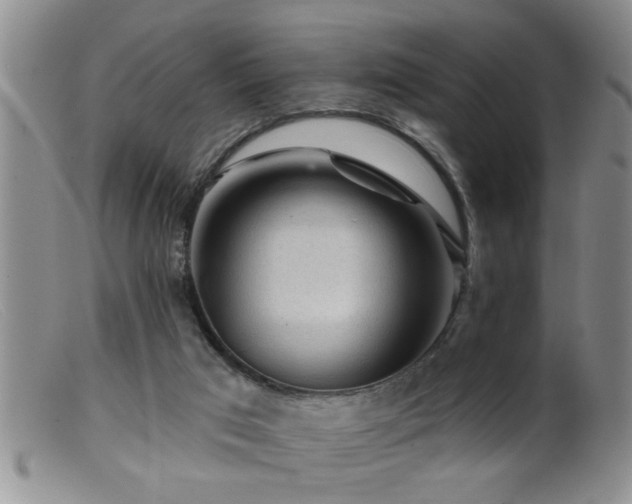 X0000099450017200805161033