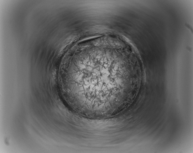 X0000099450018200805161033