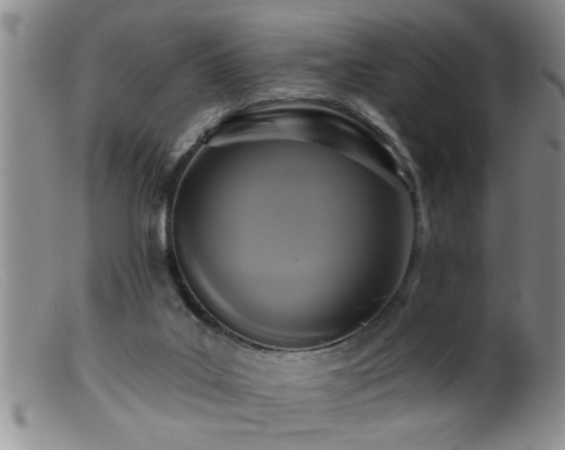 X0000099450019200805161033