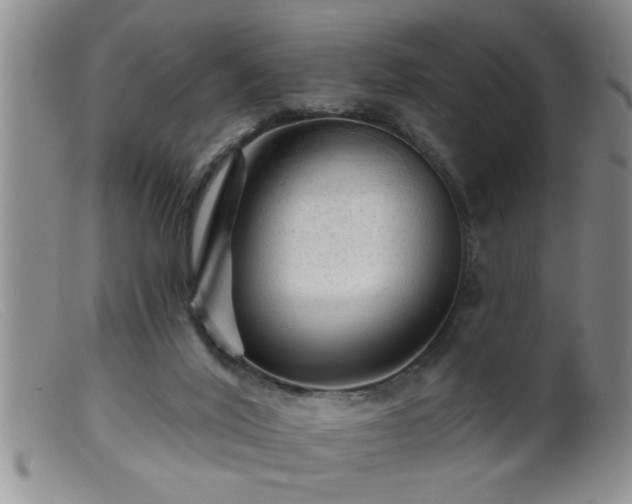 X0000099450020200805161033