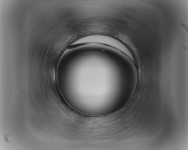 X0000099450021200805161033