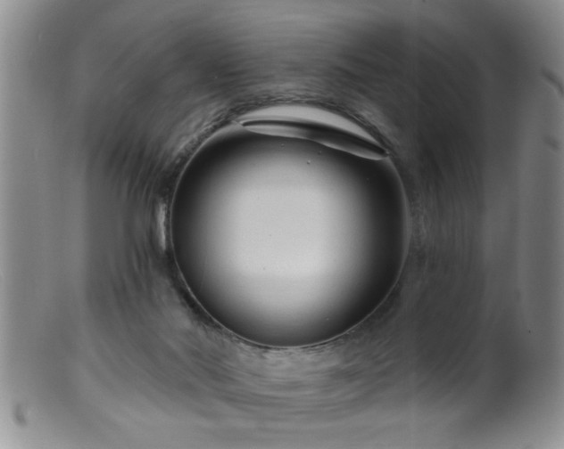 X0000099450022200805161033