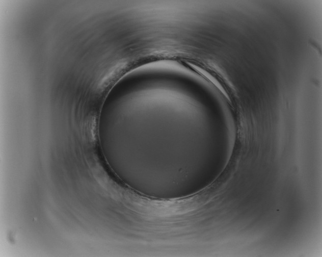 X0000099450023200805161033