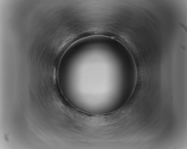 X0000099450024200805161033