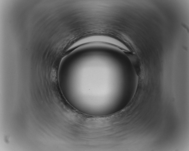 X0000099450025200805161033