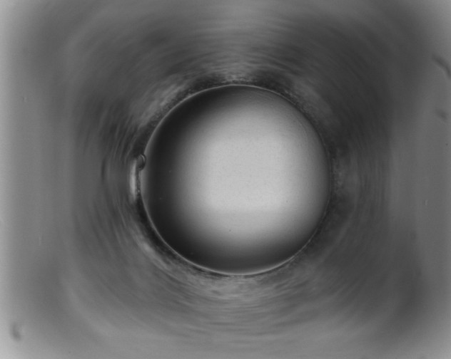 X0000099450028200805161033