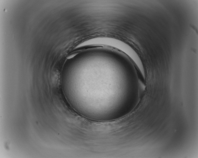 X0000099450029200805161033