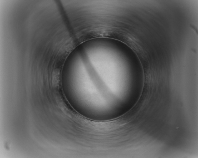 X0000099450030200805161033