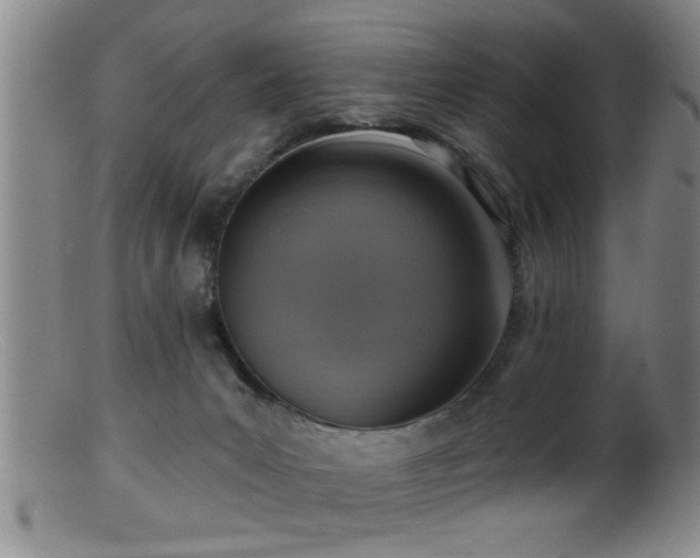 X0000099450031200805161033