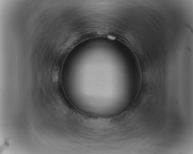 X0000099450032200805161033