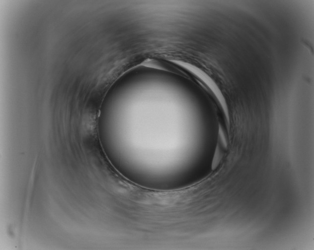 X0000099450033200805161033