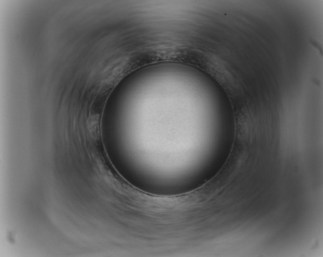 X0000099450034200805161033