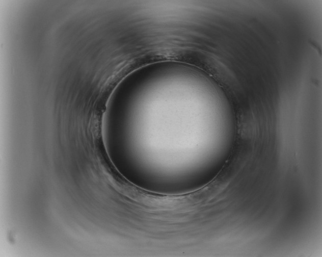 X0000099450036200805161033