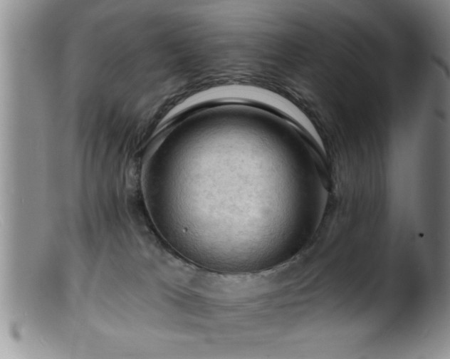 X0000099450037200805161033