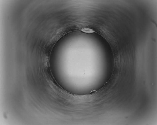 X0000099450038200805161033