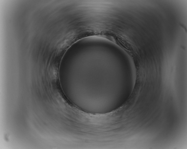 X0000099450039200805161033