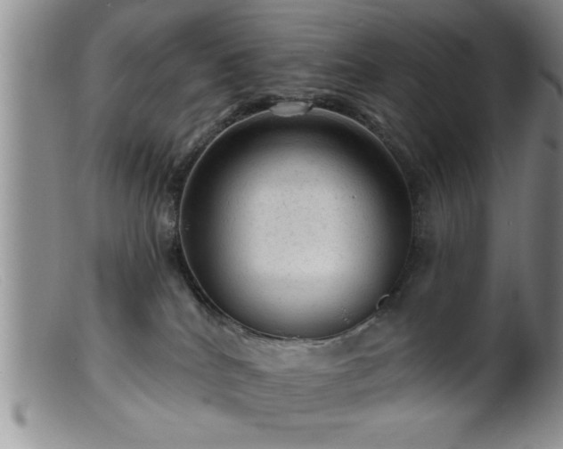 X0000099450040200805161033