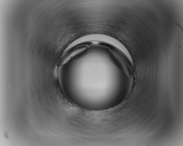 X0000099450041200805161033