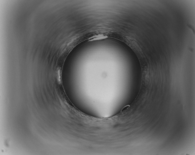 X0000099450042200805161033