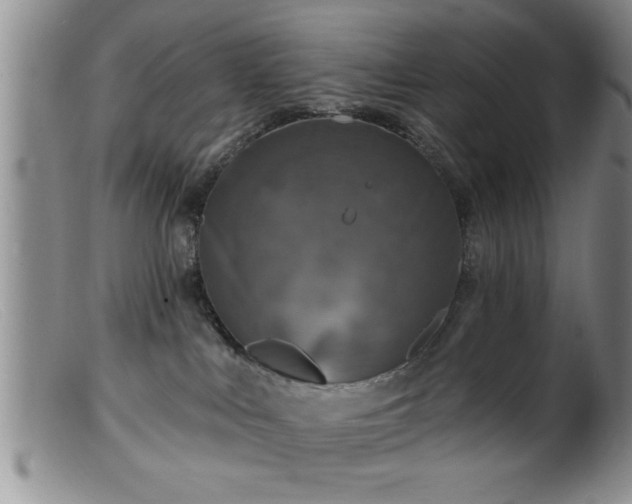 X0000099450043200805161033