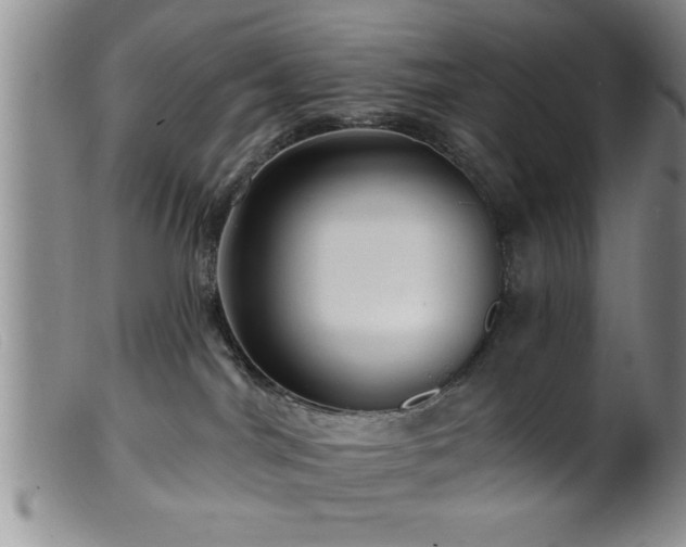 X0000099450044200805161033