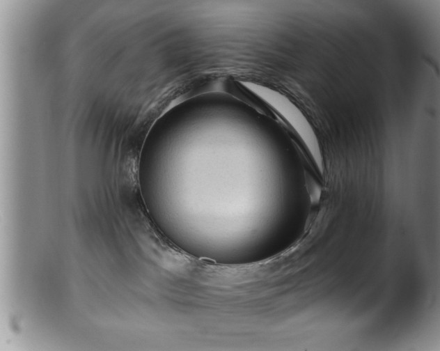 X0000099450045200805161033