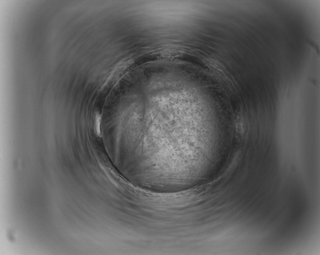 X0000099450046200805161033